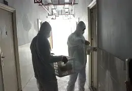 包含大学生翻墙致疫情传播？校方回应的词条