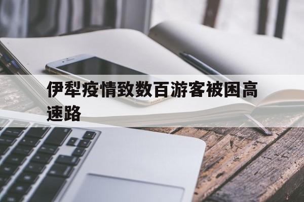 【伊犁疫情致数百游客被困高速路,伊犁疫情致数百游客被困高速路口视频】